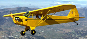 cub