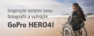 310x120_Vozickar