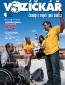 voz04-2011-60x85